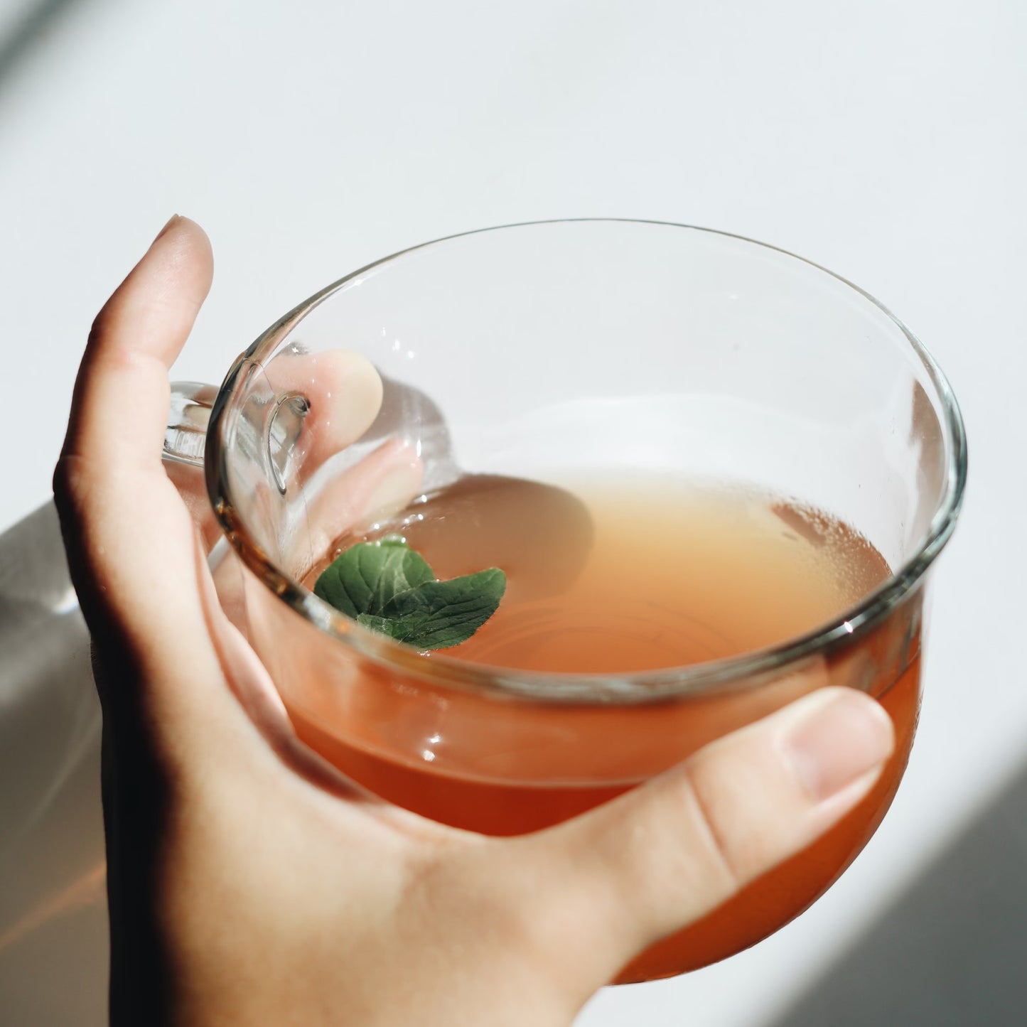 Hand hält eine Tasse mit Tee aus Kaffeeschalen im Glas – Cascara Tee Produktbild.