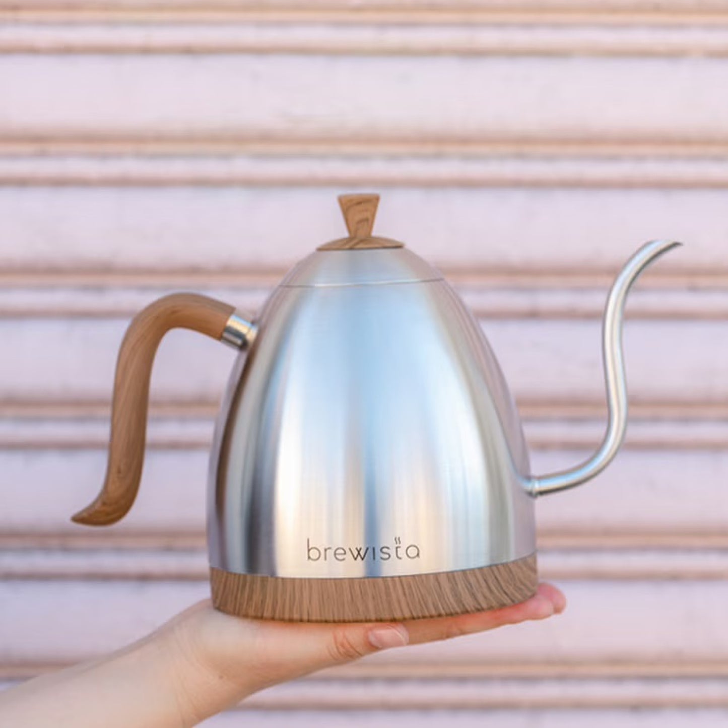 Brewista Artisan 1,0 L elektrischer Wasserkocher