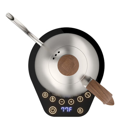 Brewista Artisan 1,0 L elektrischer Wasserkocher