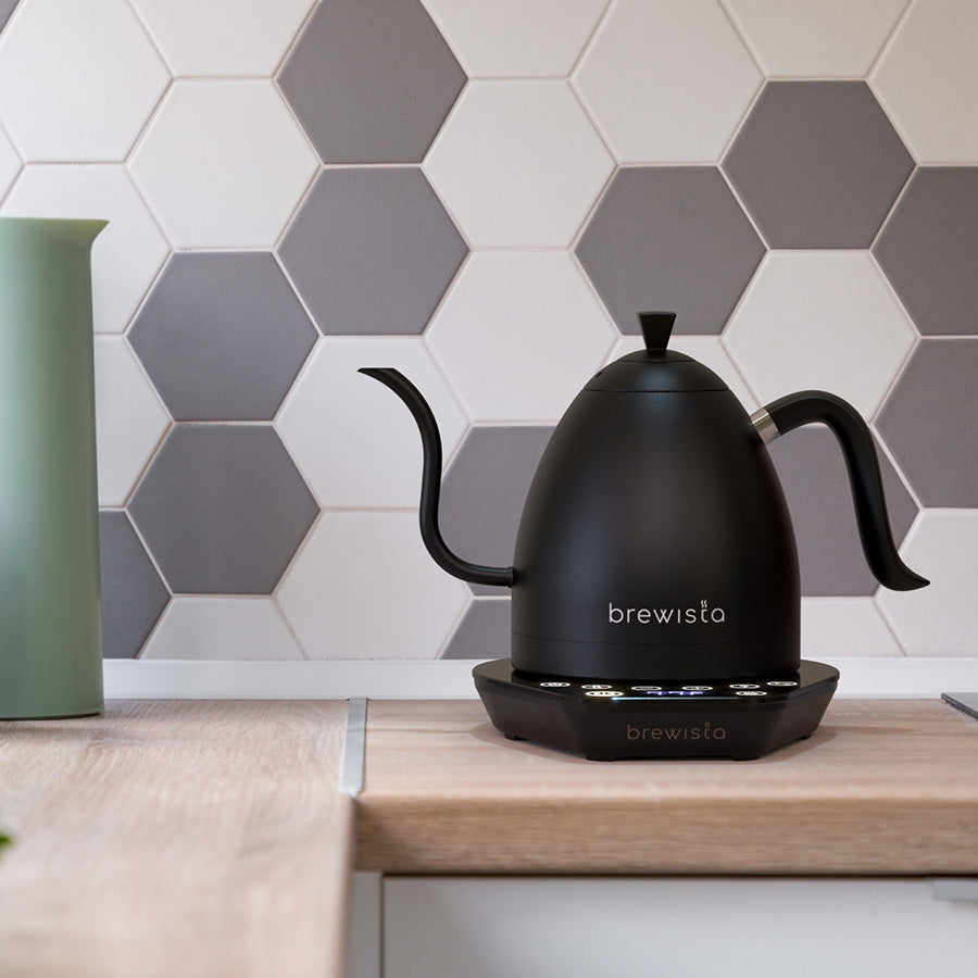 Brewista Artisan 1,0 L elektrischer Wasserkocher