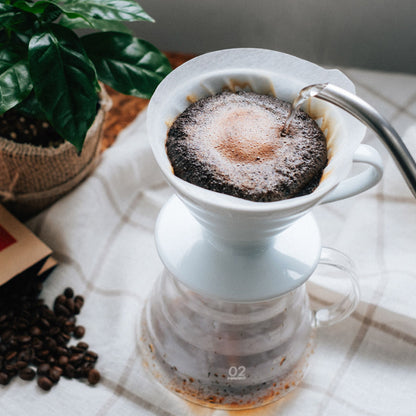 Hario Paper Filters for V60 - 100 pack