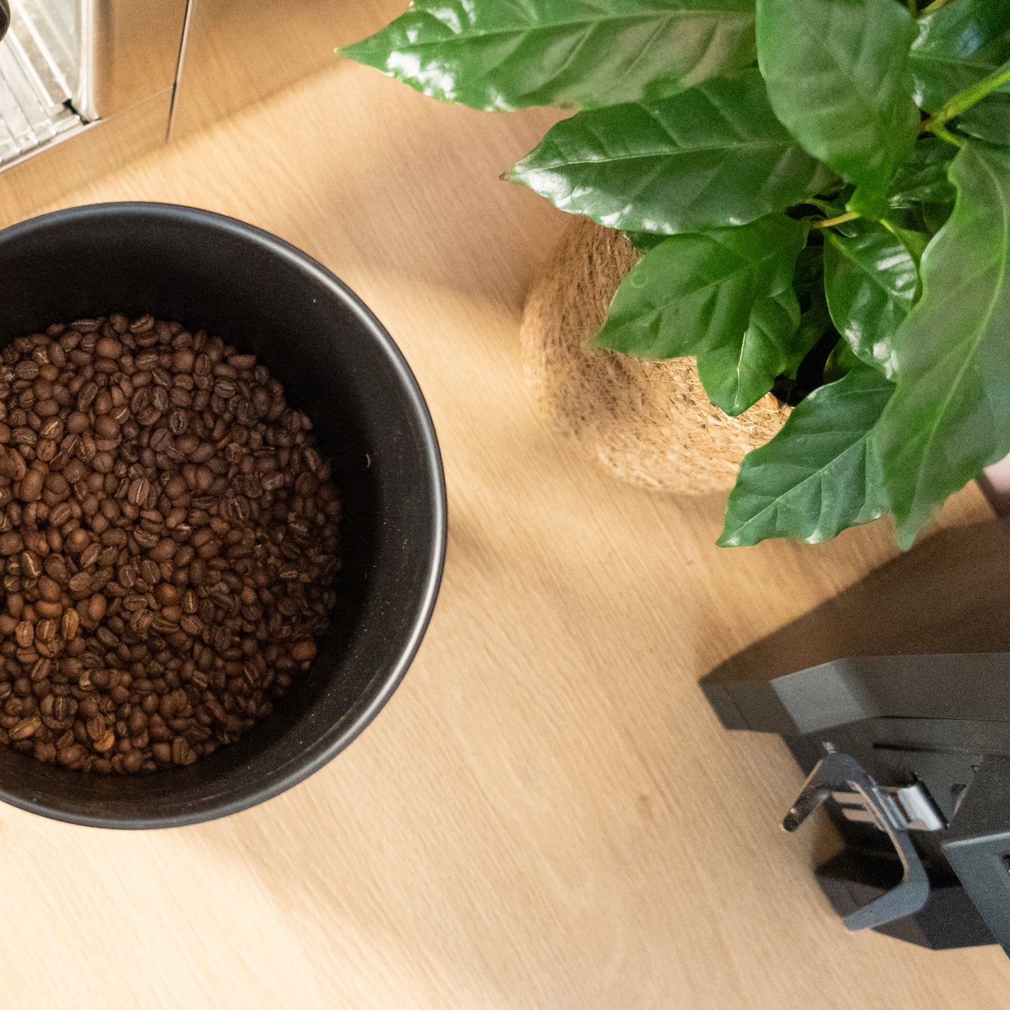 Coffee Circle Canister